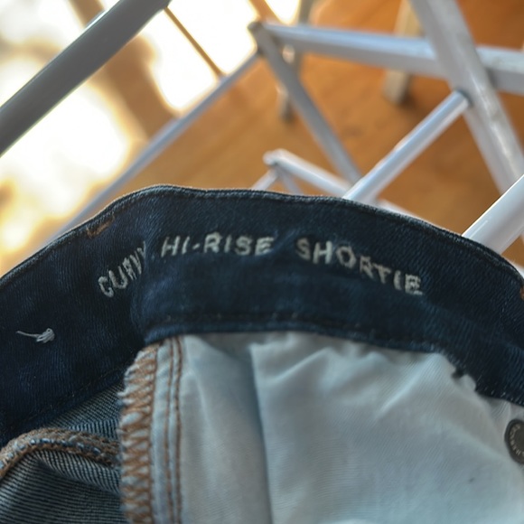 American Eagle Curvy High Rise Shortie Shorts - Picture 4 of 5